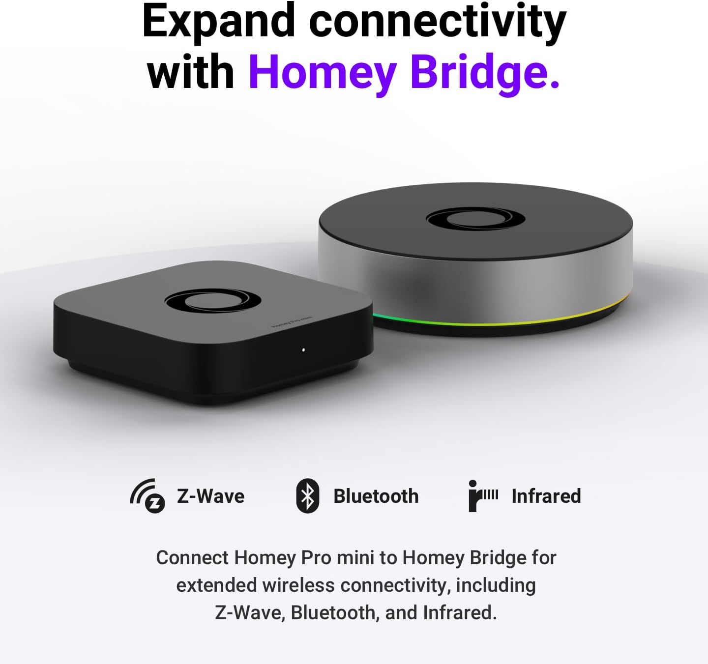 Homey Pro Mini