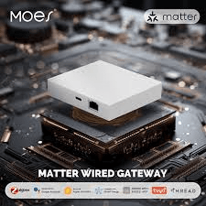 moes-matter-hub